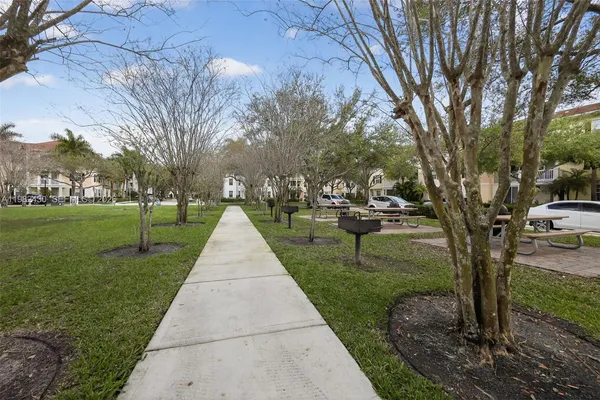 a park view with large trees