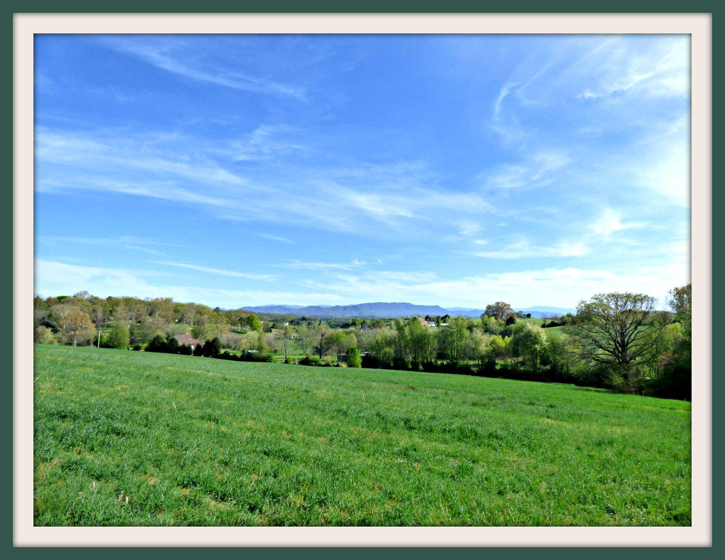 Lot 4 Falcon Road White Pine, TN 37890 - Photo 21 of 33 P1040447f