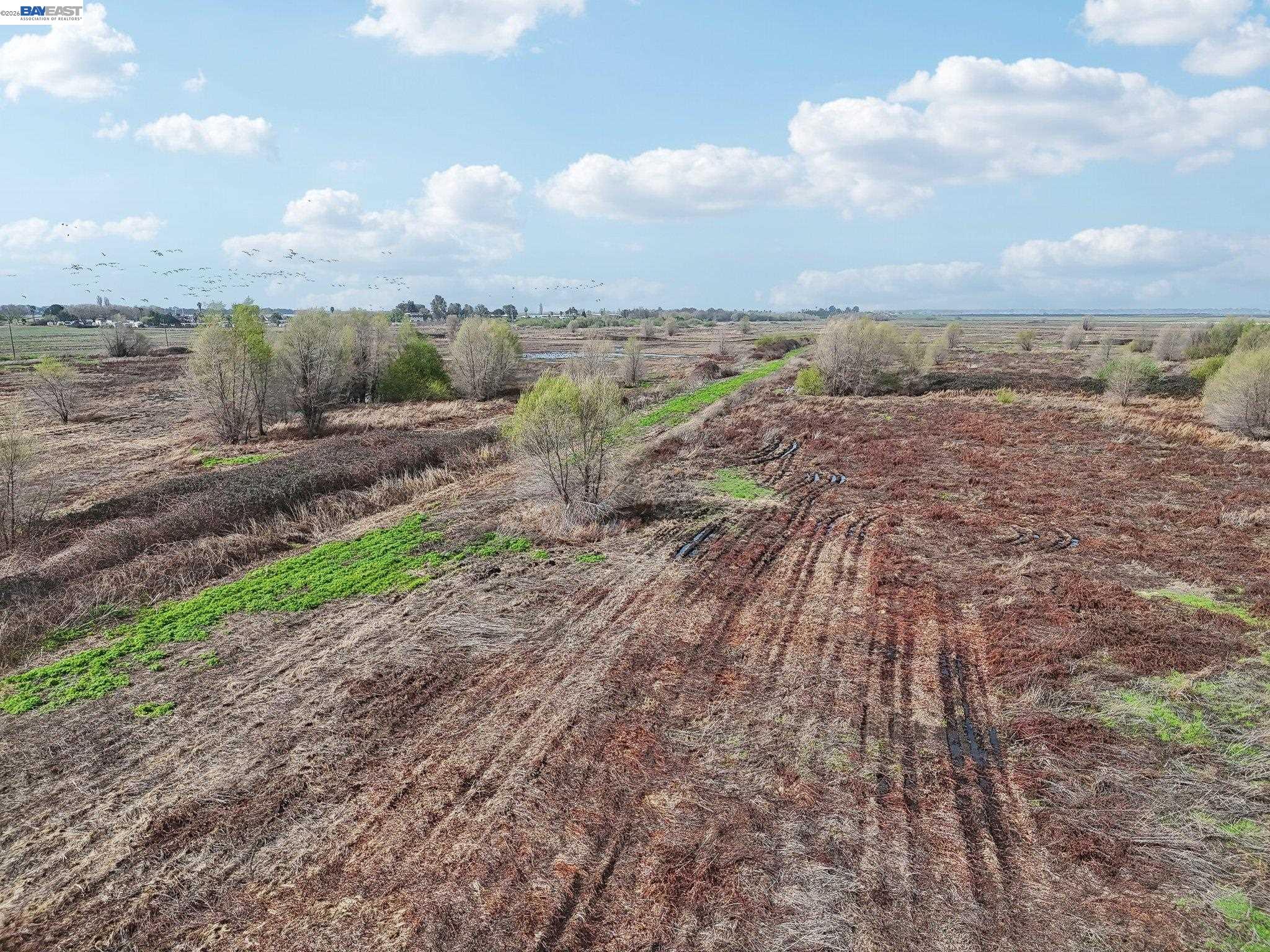 0 Brannan Isle Road Isleton, CA 95641 - Photo 14 of 19