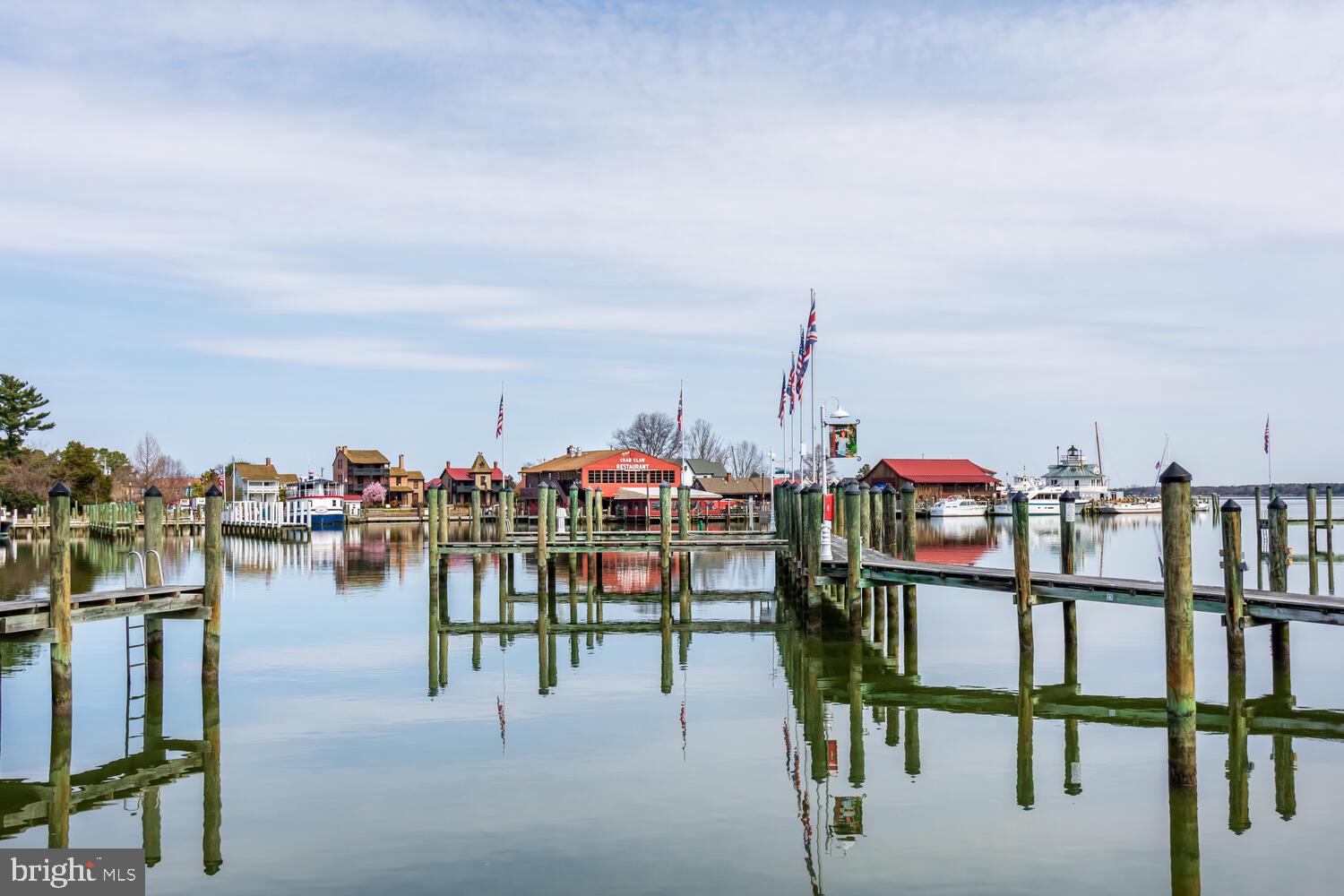 24560 Deepwater Point Drive, Unit 1 St. Michaels, MD 21663 - Photo 31 of 57