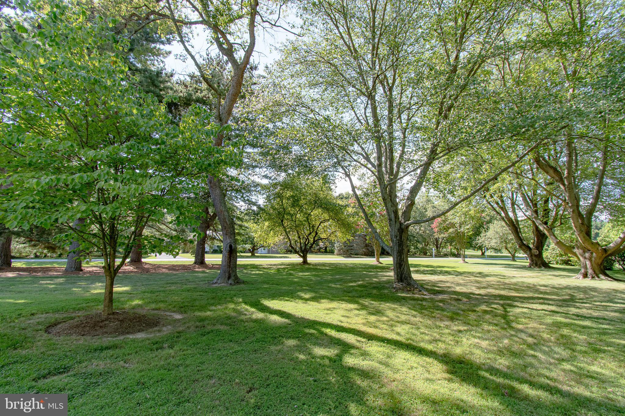 24560 Deepwater Point Drive, Unit 1 St. Michaels, MD 21663 - Photo 56 of 57