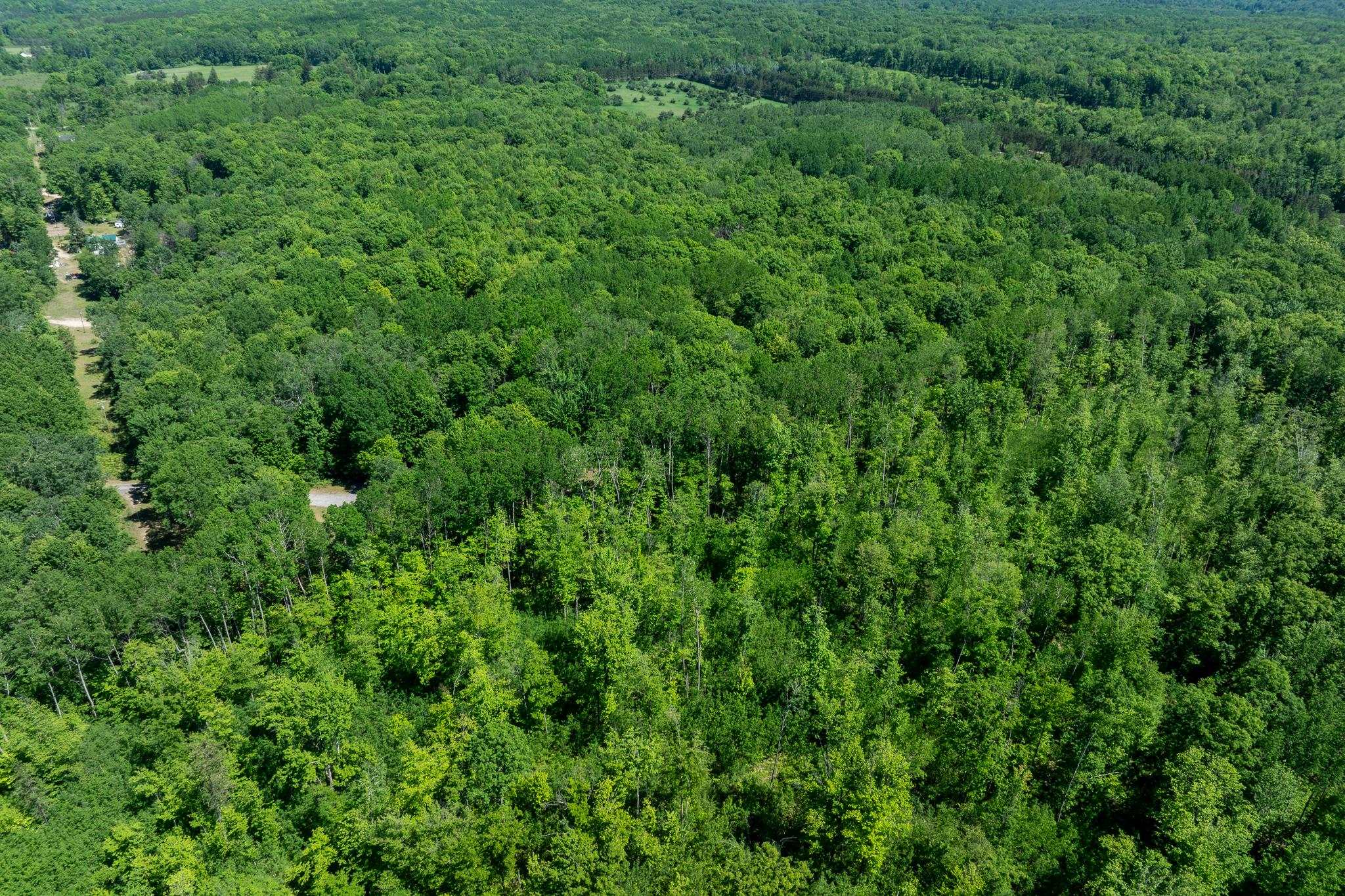 4377 Adams Road Lake, MI 48632 - Photo 55 of 61