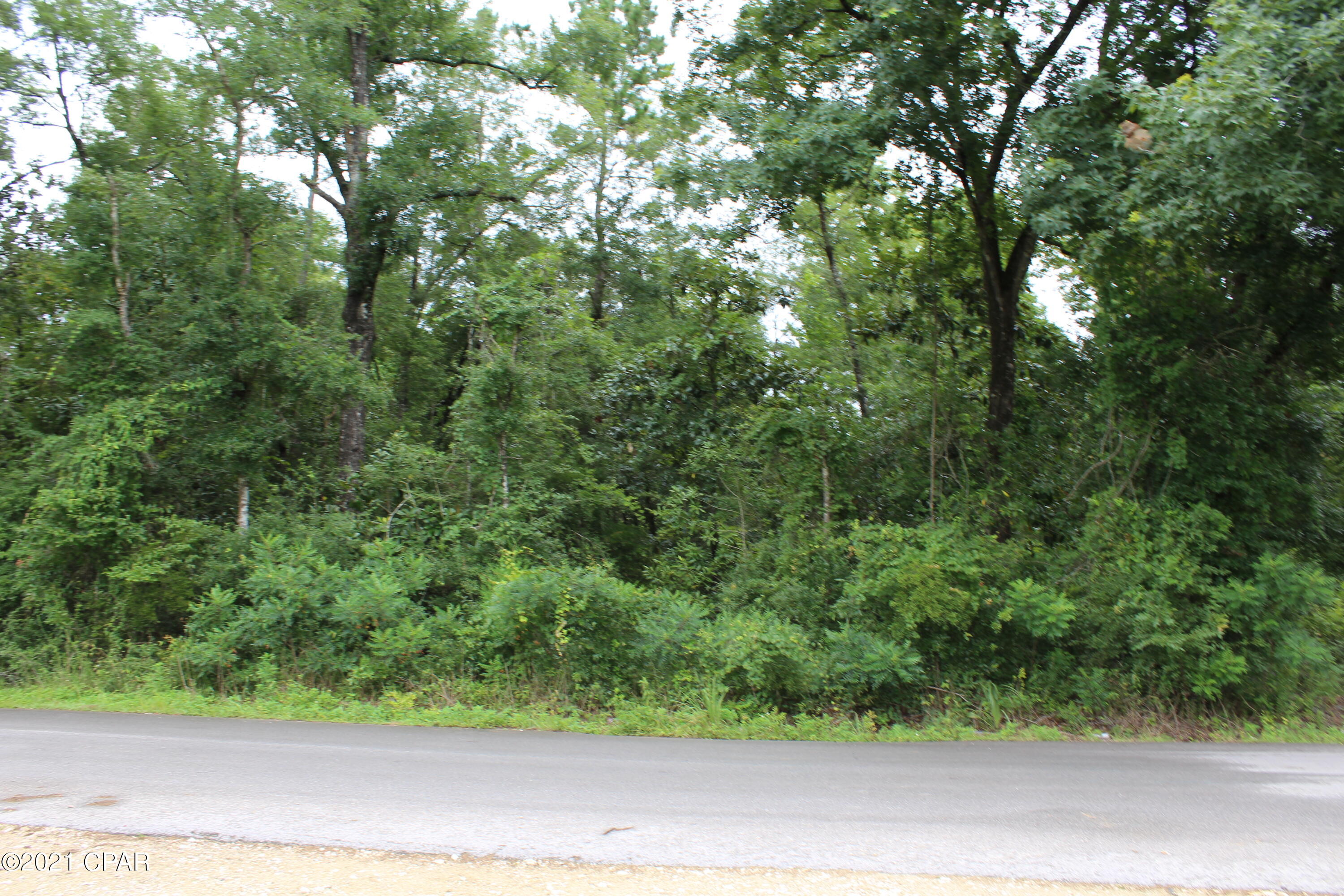 Tbd Spool Mill Road Vernon, FL 32462 - Photo 1 of 10 Gallery Image 1