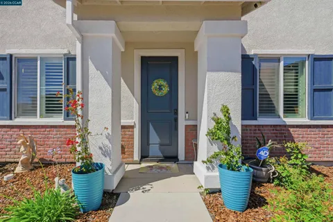 a view of a potted plant in front of a house