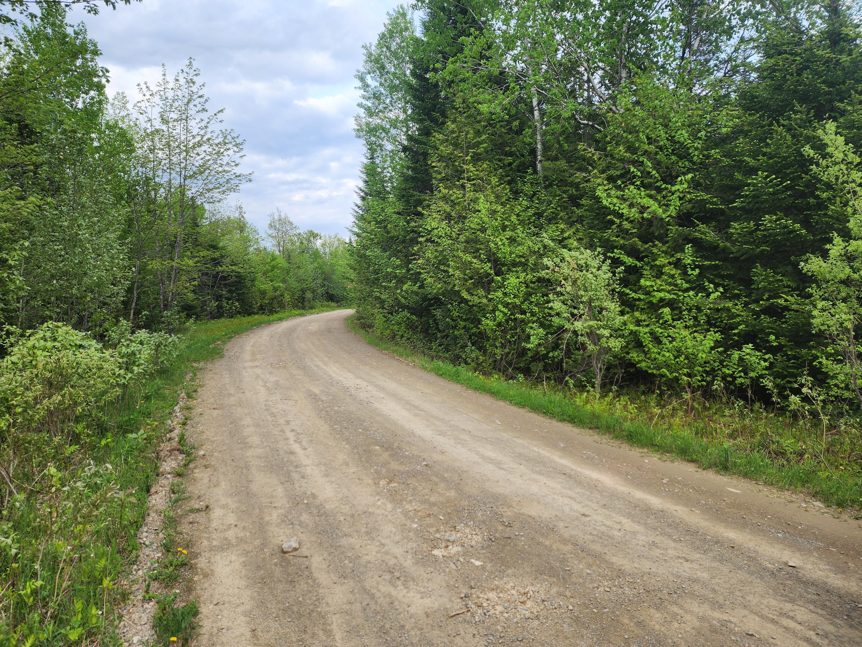 Lot 2 West Davis Brook Road Amity, ME 04471 - Photo 5 of 10 20240521_181059