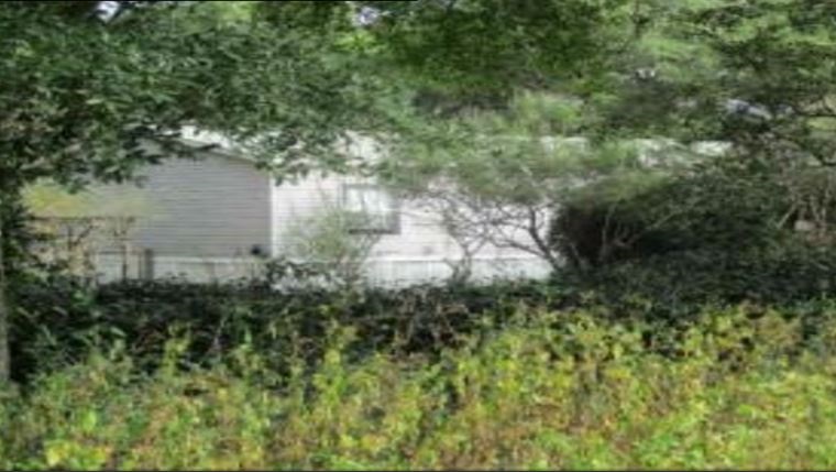 718 Woodlawn Road Freeport, FL 32439 - Photo 1 of 2 Gallery Image 1