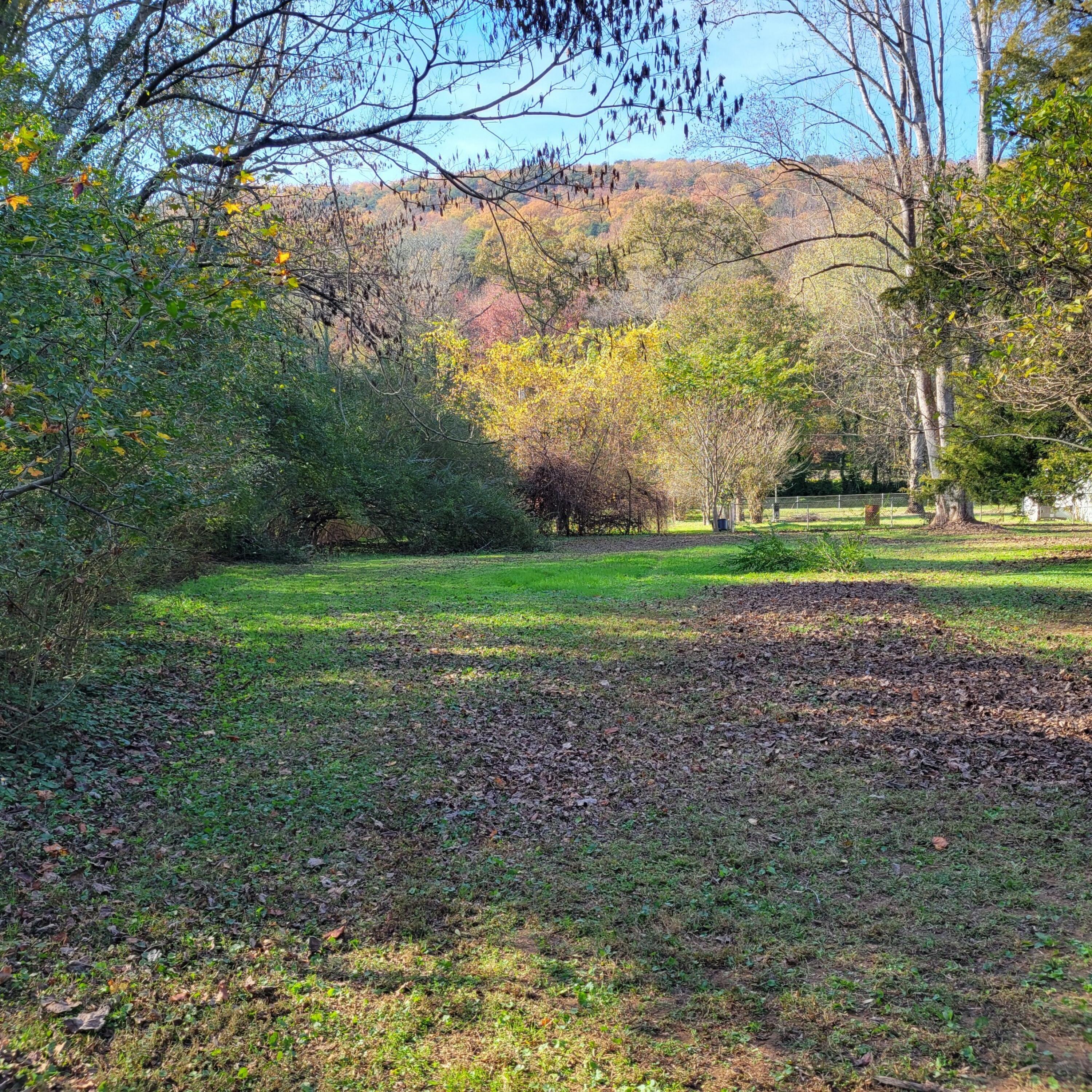 11940 Back Valley Road Soddy Daisy, TN 37379 - Photo 18 of 21 7008001129350686391