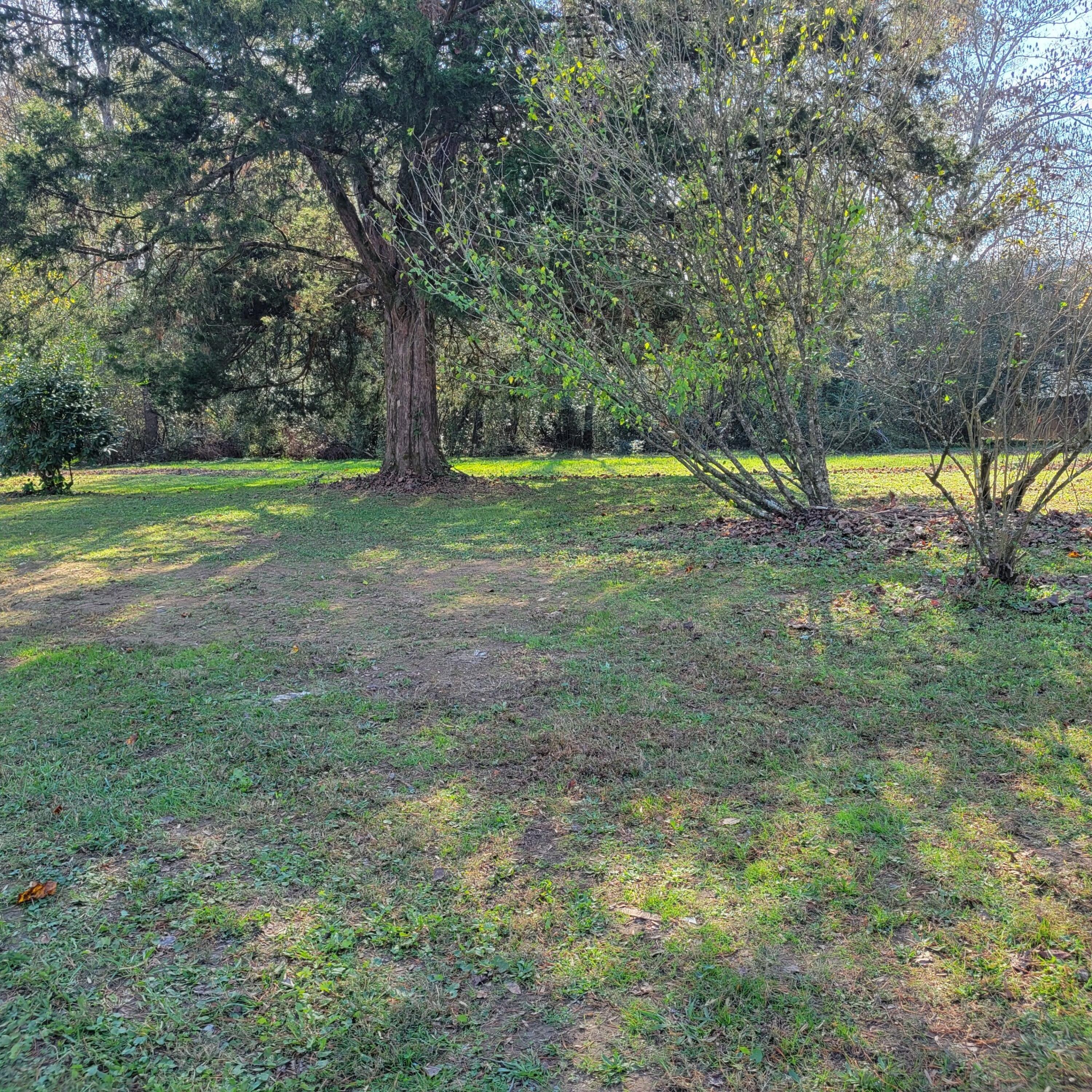 11940 Back Valley Road Soddy Daisy, TN 37379 - Photo 20 of 21 3884439207140040196
