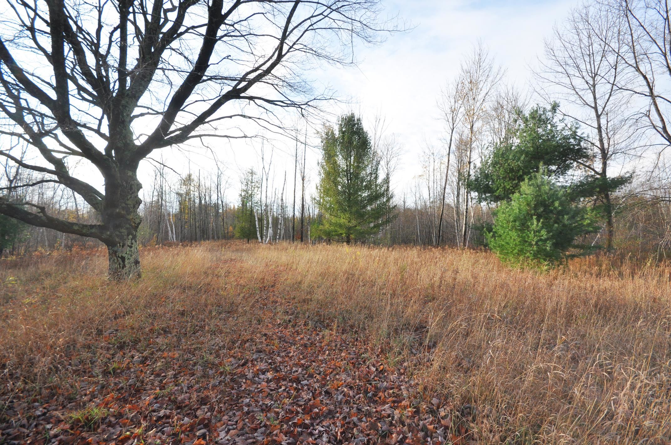 0 South Dunns Farm Road Maple City, MI 49664 - Photo 7 of 12