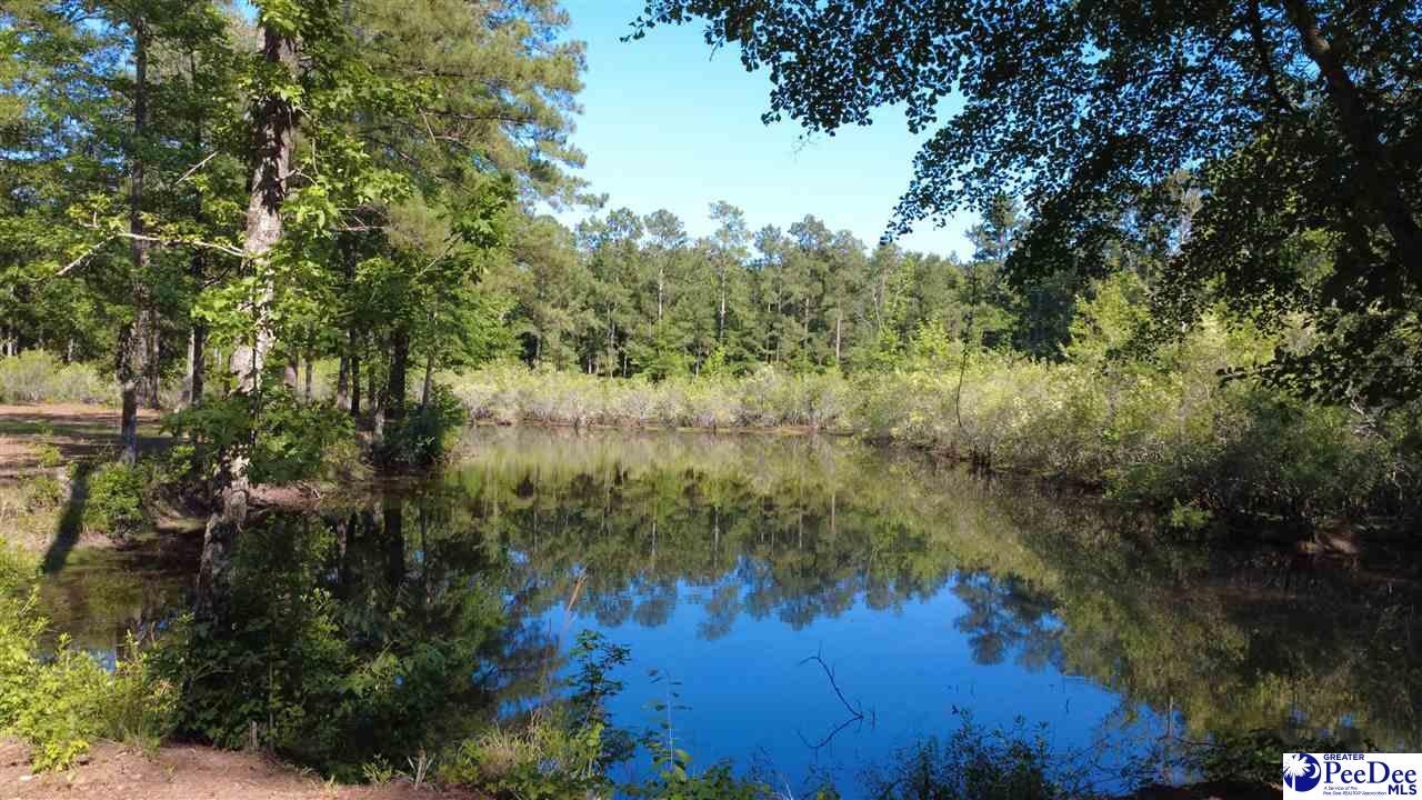 Tbd North Tbd N Bethel Road Scranton, SC 29591 - Photo 20 of 28 Gallery Image 20