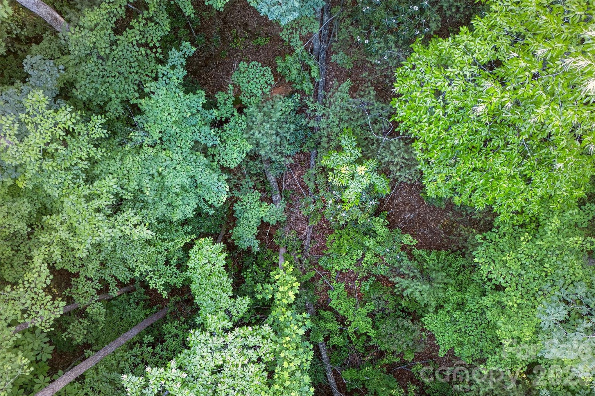 0 Yancey Road Marion, NC 28752 - Photo 16 of 32 an aerial view of residential house with outdoor space and trees all around