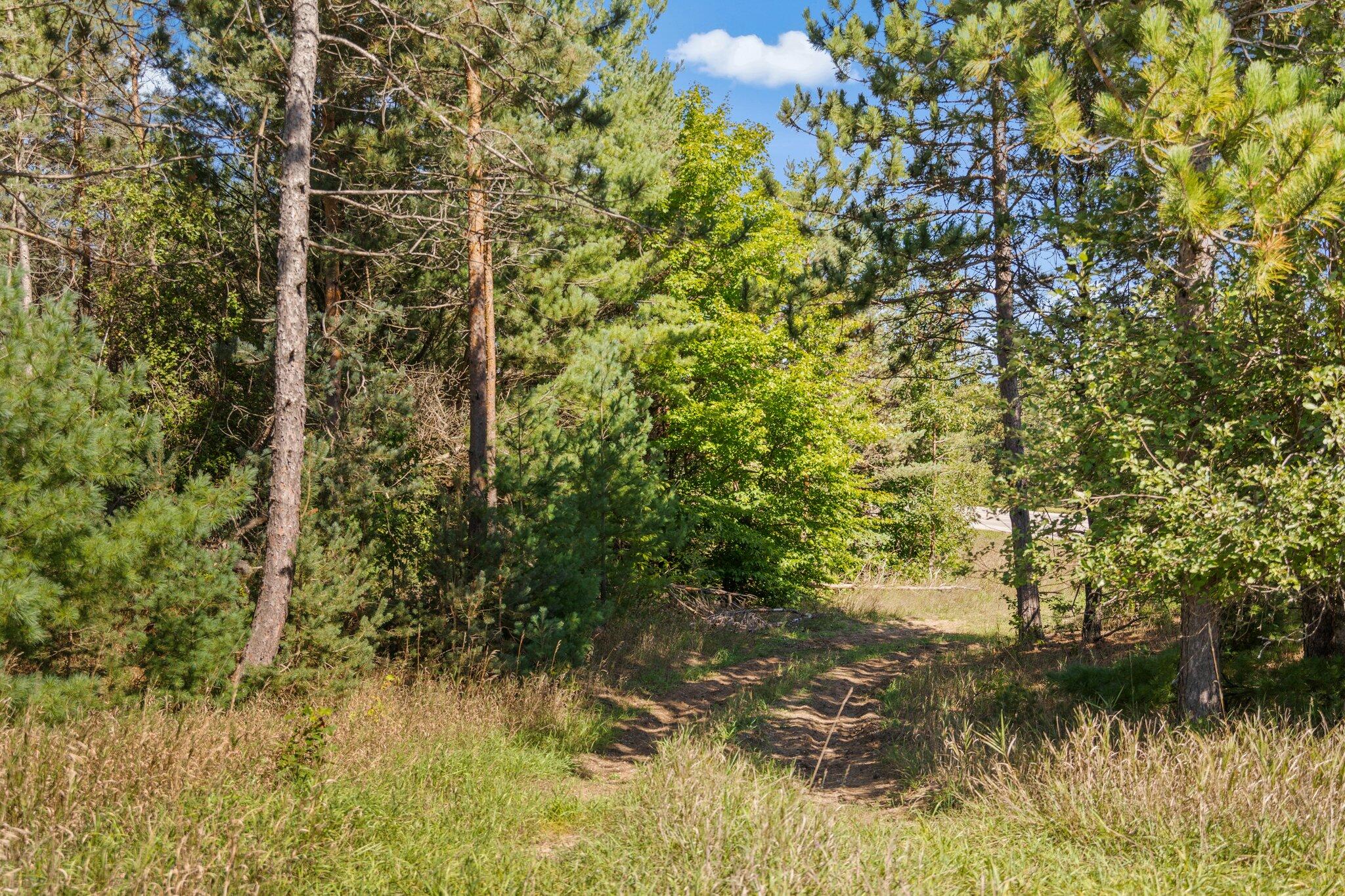 Krys Road Gaylord, MI 49735 - Photo 6 of 23 Gallery Image 6