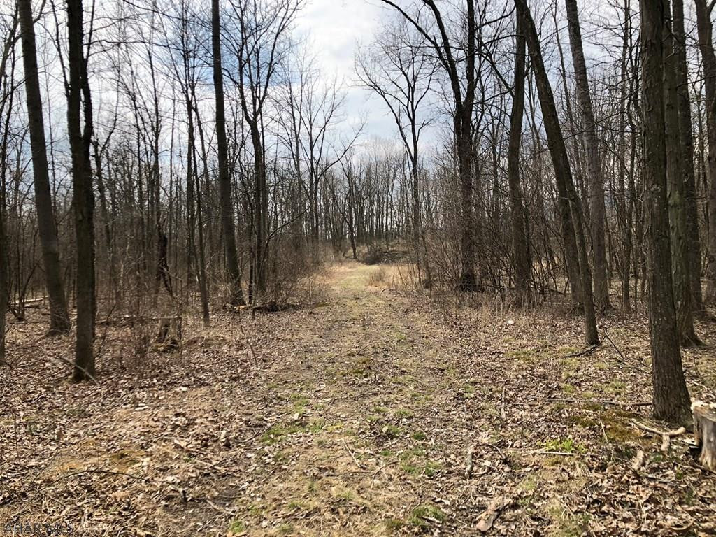 Off Dibert Road Everett, PA 15537 - Photo 3 of 23 Gallery Image 3