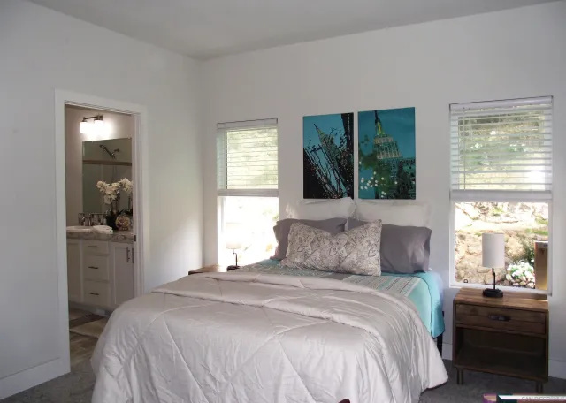 a view of a park with large trees