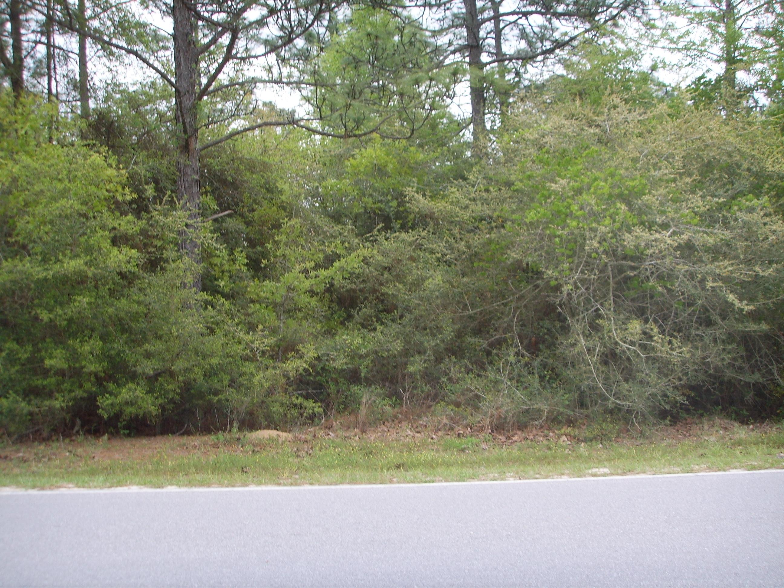 11 Quail Ridge Drive DeFuniak Springs, FL 32435 - Photo 6 of 6 SSL12826