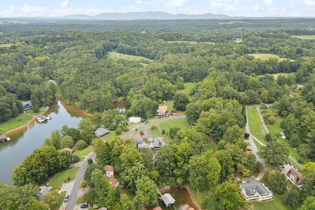 an aerial view of forest