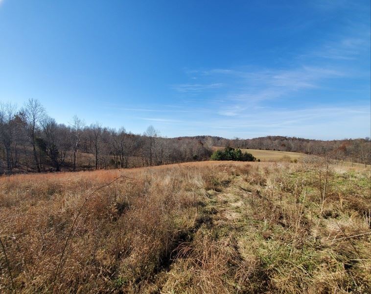 148 Turci Nevins Road Caneyville, KY 42721 - Photo 15 of 32 Gallery Image 15
