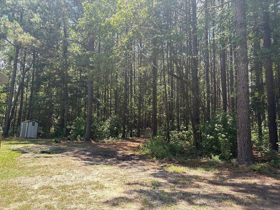 4435 Bethel Church Road Pinewood, SC 29125 - Photo 3 of 21 7C26F614-5336-4033-B919-47D2FD595422