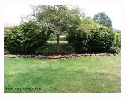 602 Burchfield Road Allison Park, PA 15101 - Photo 7 of 17 Yard/Garden.