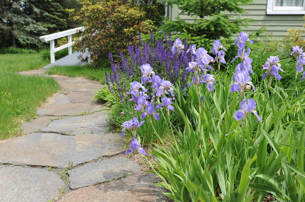 180 Montague Road Amherst, MA 01002 - Photo 21 of 29