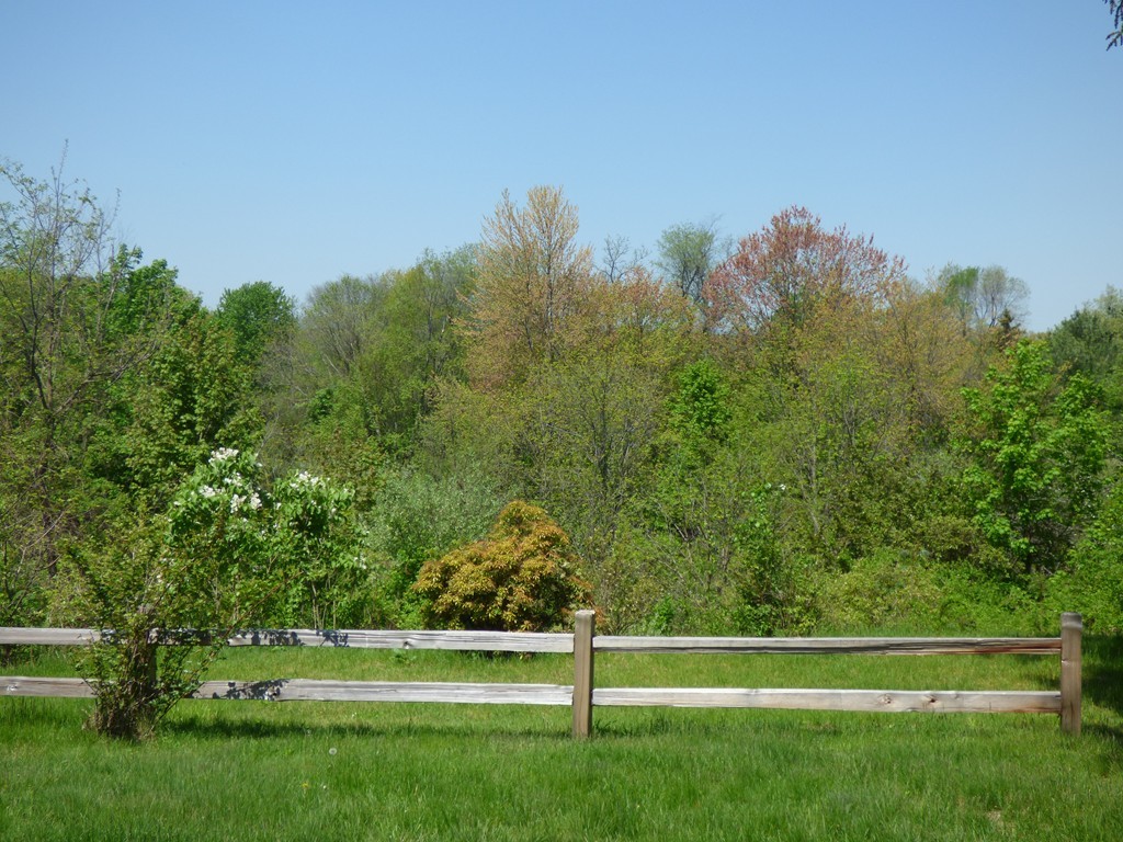 180 Montague Road Amherst, MA 01002 - Photo 28 of 29