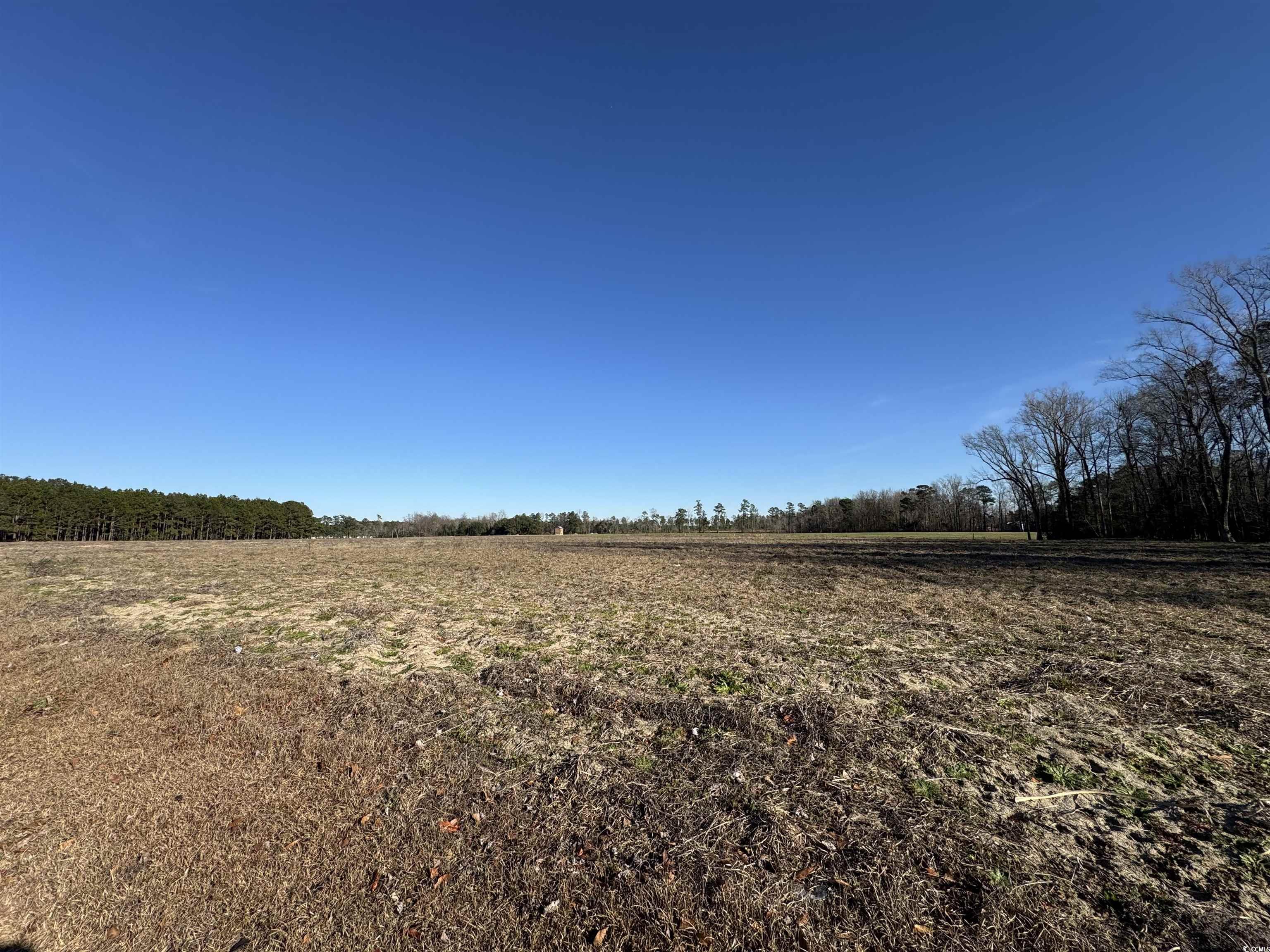 Tbd Tbd Ino Drive Loris, SC 29569 - Photo 2 of 4