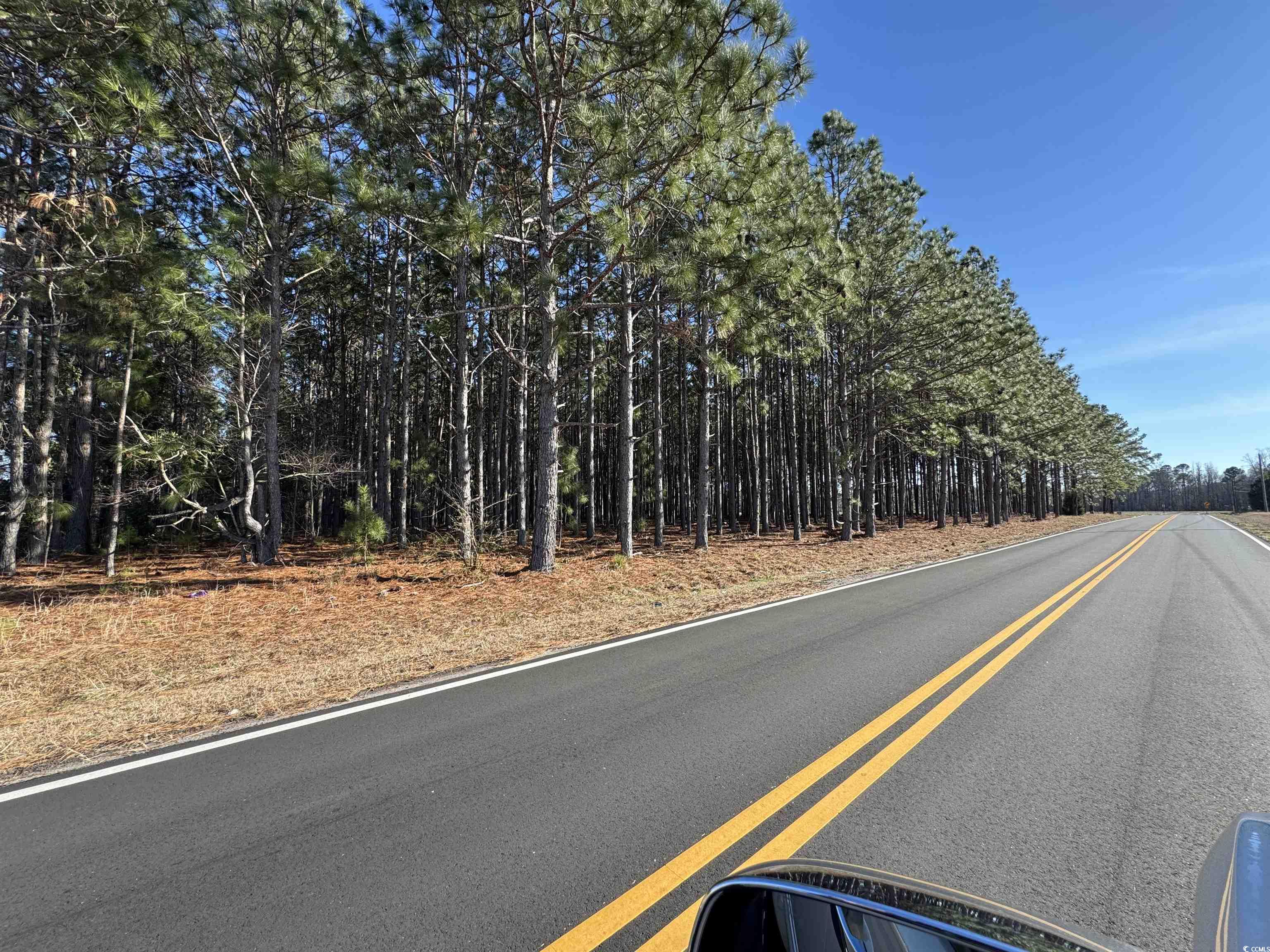 Tbd Tbd Ino Drive Loris, SC 29569 - Photo 3 of 4