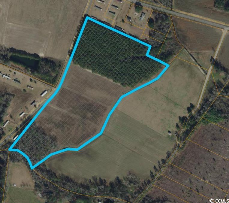 Tbd Tbd Ino Drive Loris, SC 29569 - Photo 4 of 4