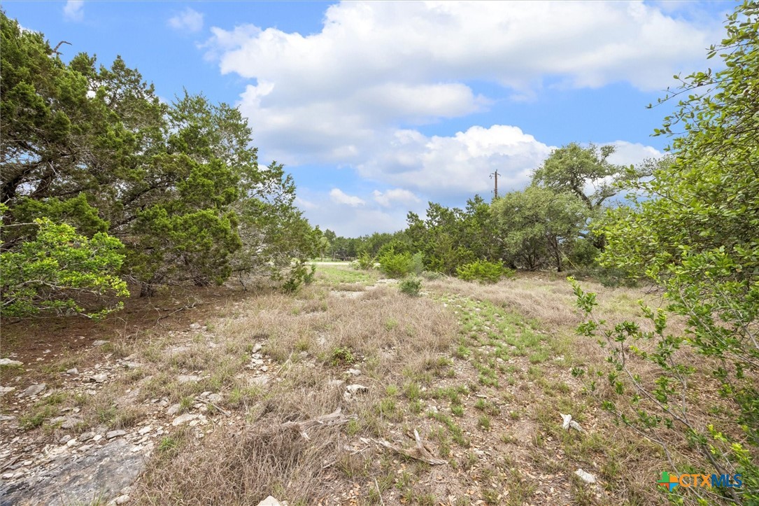 865 Rutherford Fischer, TX 78623 - Photo 6 of 11 a view of a big yard with lots of green space