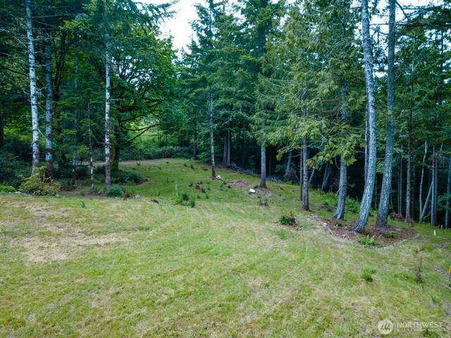 a view of outdoor space with green field and trees