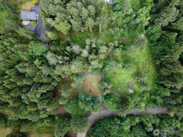an aerial view of a house with a yard and large trees