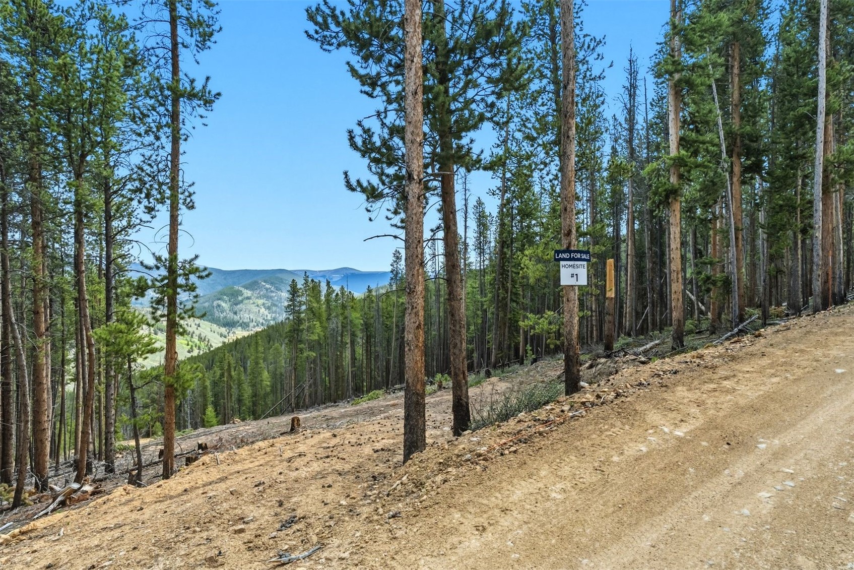 653 Summit Gulch Road Breckenridge, CO 80424 - Photo 14 of 18