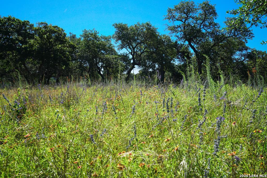 204 Wilson Rand Road Hunt, TX 78024 - Photo 22 of 46