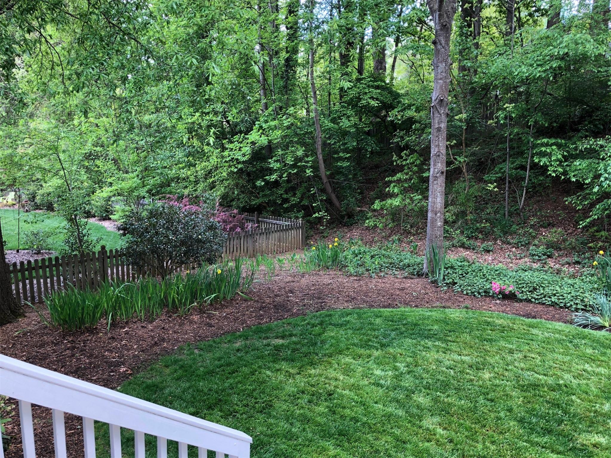 3924 Highview Road Charlotte, NC 28210 - Photo 36 of 45 a view of a garden with plants and large trees