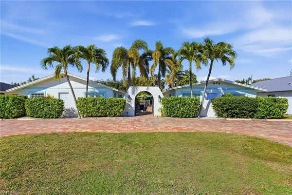 a view of a yard with palm trees