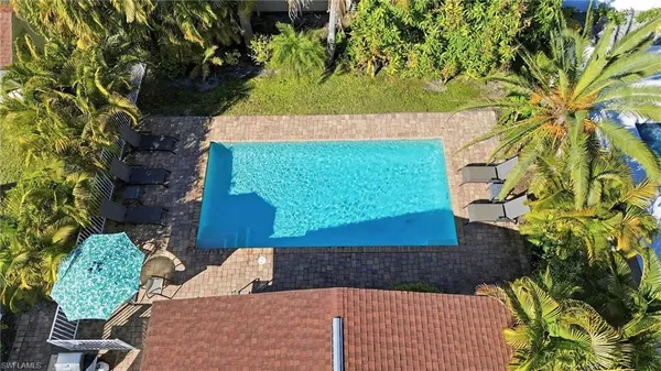 a view of a yard with plants