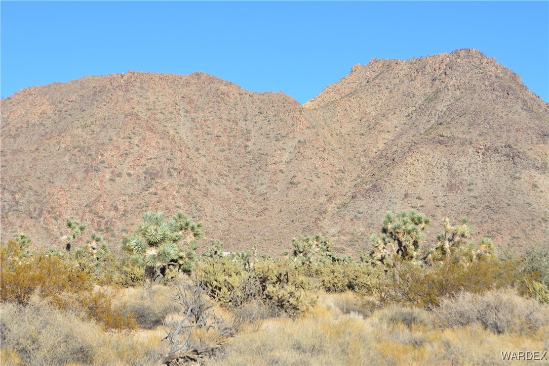 11900 Alan Road Yucca, AZ 86438 - Photo 35 of 99 Gallery Image 35