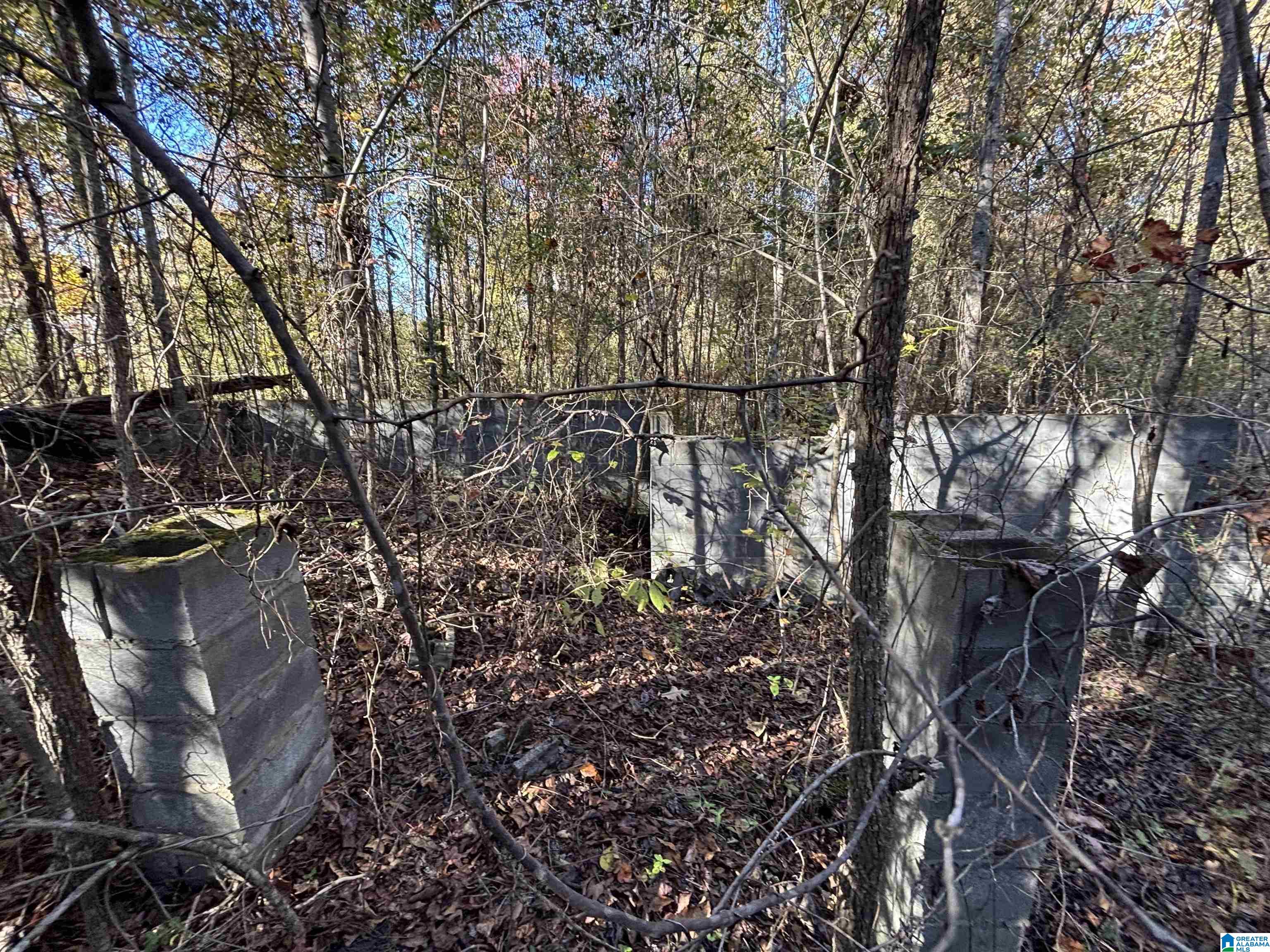 0 Waldrop Road, Unit 10 82 ACRES Ashville, AL 35953 - Photo 20 of 22