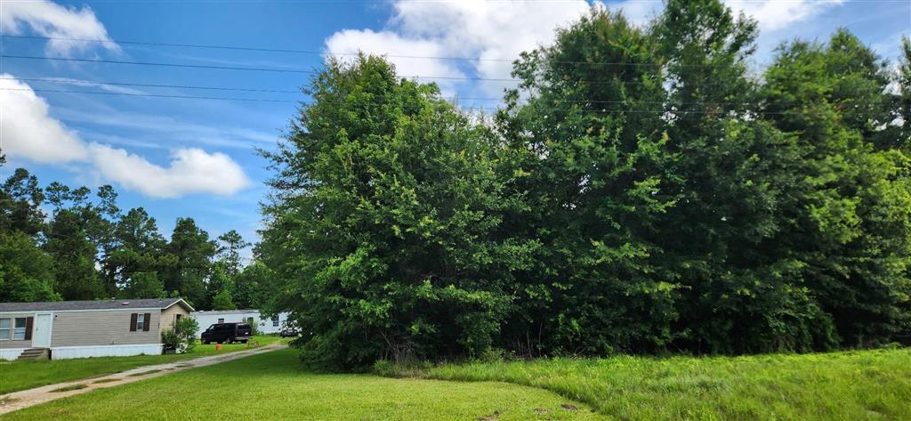190 East E Highway Ragley, LA 70657 - Photo 4 of 7