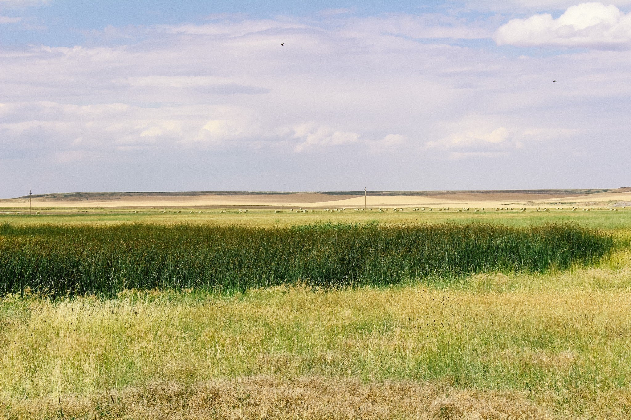 Little Little Muddy Creek Ranch Cascade, MT 59421 - Photo 13 of 41 Gallery Image 13