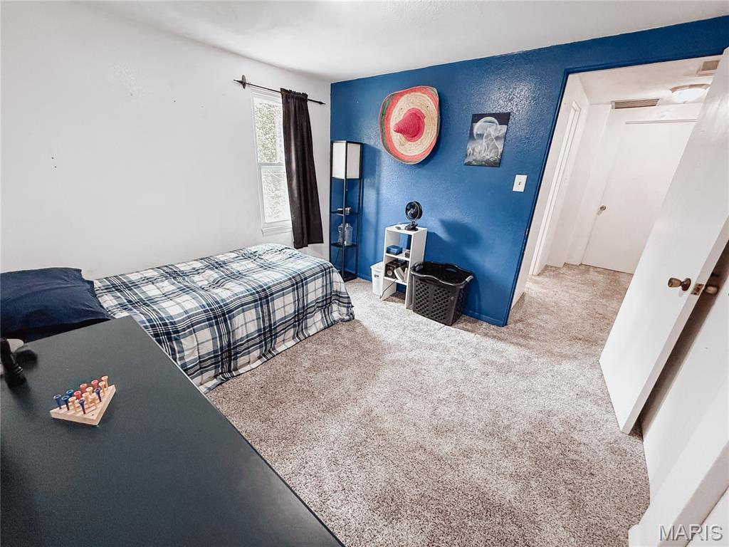 2707 Lemon Street Road Highland, IL 62249 - Photo 39 of 53