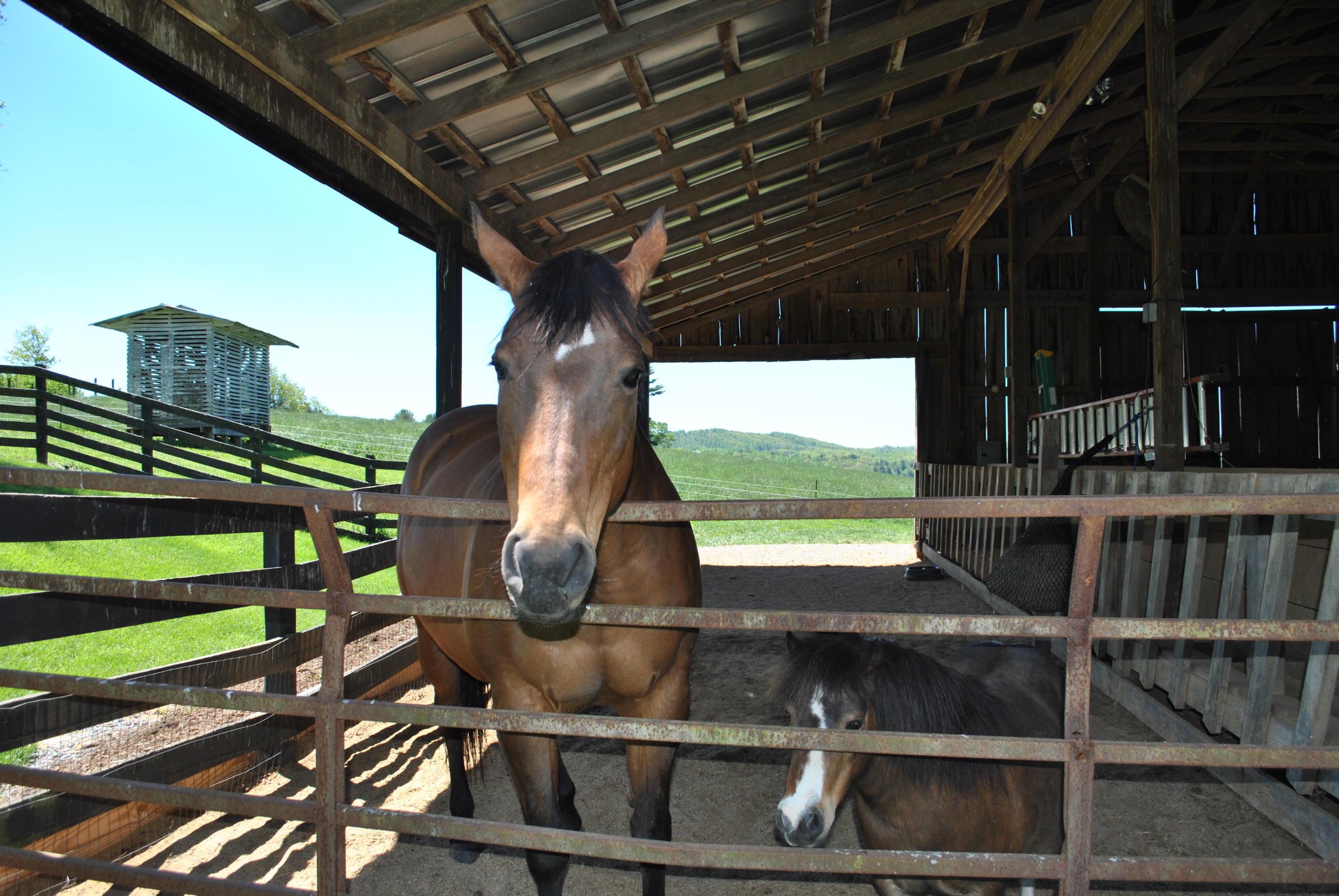 1330 Huffville Road Northeast Pilot, VA 24138 - Photo 29 of 100 Horse Barn