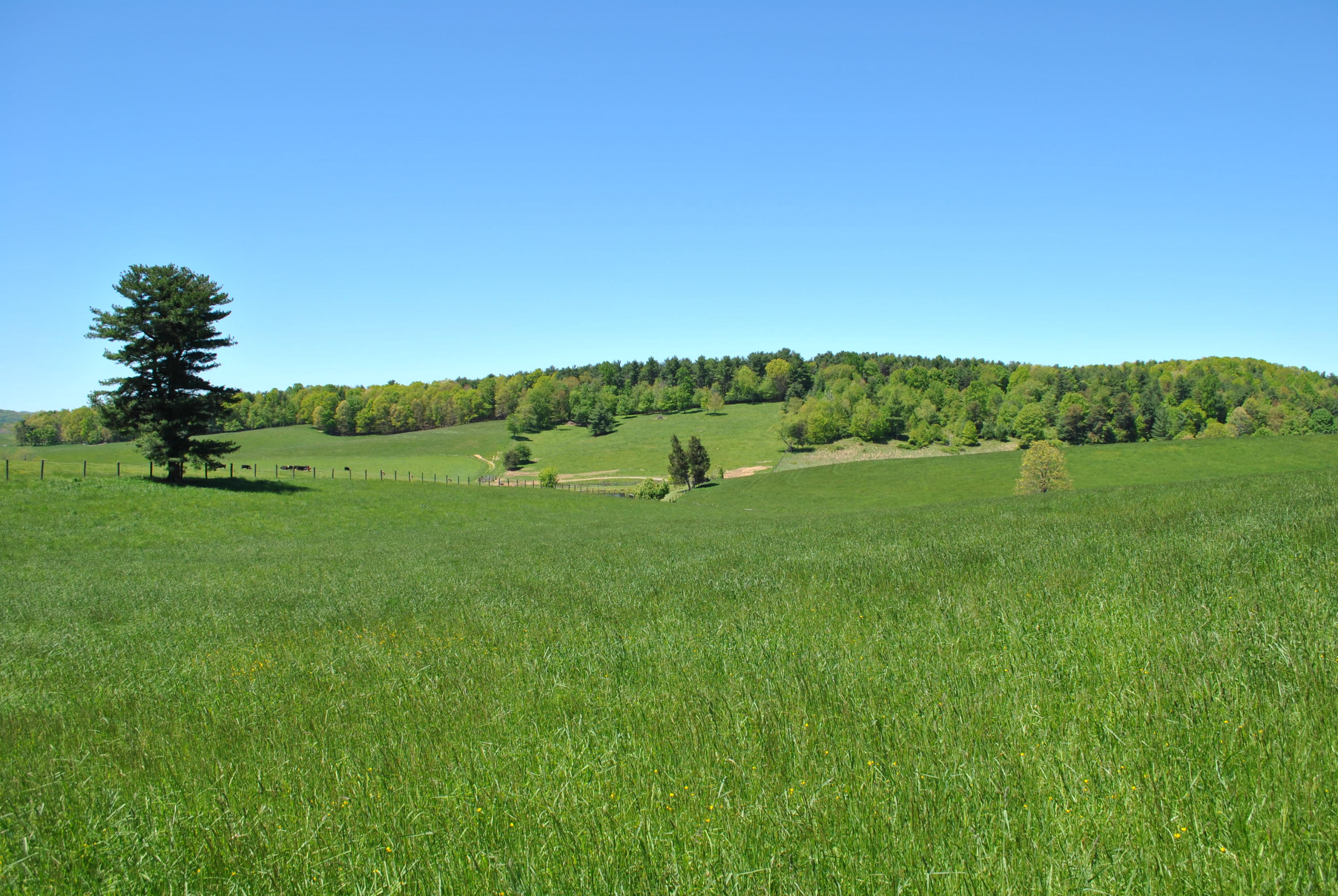 1330 Huffville Road Northeast Pilot, VA 24138 - Photo 91 of 100 Pasture