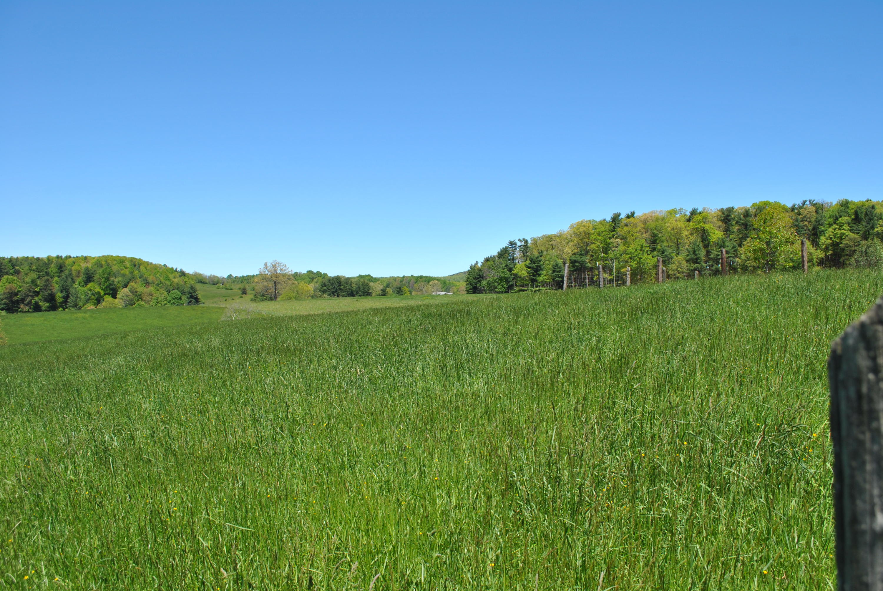 1330 Huffville Road Northeast Pilot, VA 24138 - Photo 92 of 100 a view of a lush green space