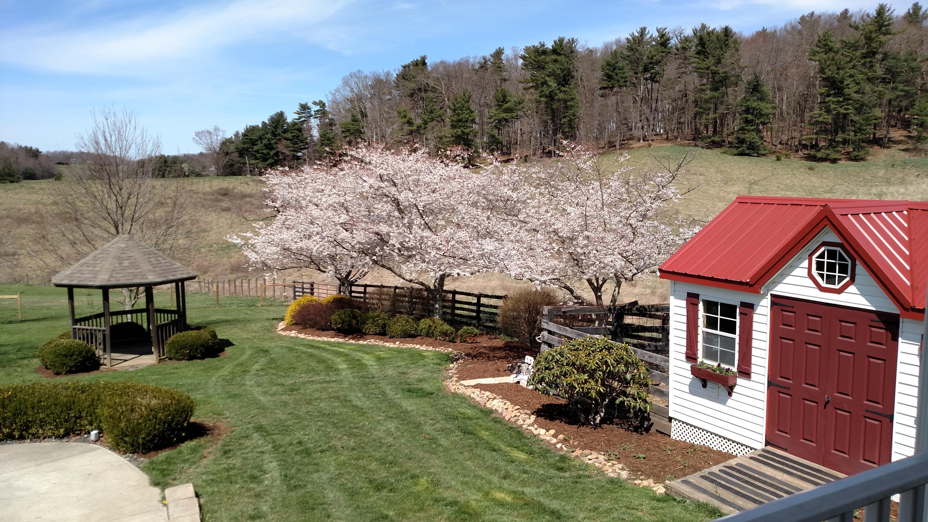 1330 Huffville Road Northeast Pilot, VA 24138 - Photo 98 of 100 Spring