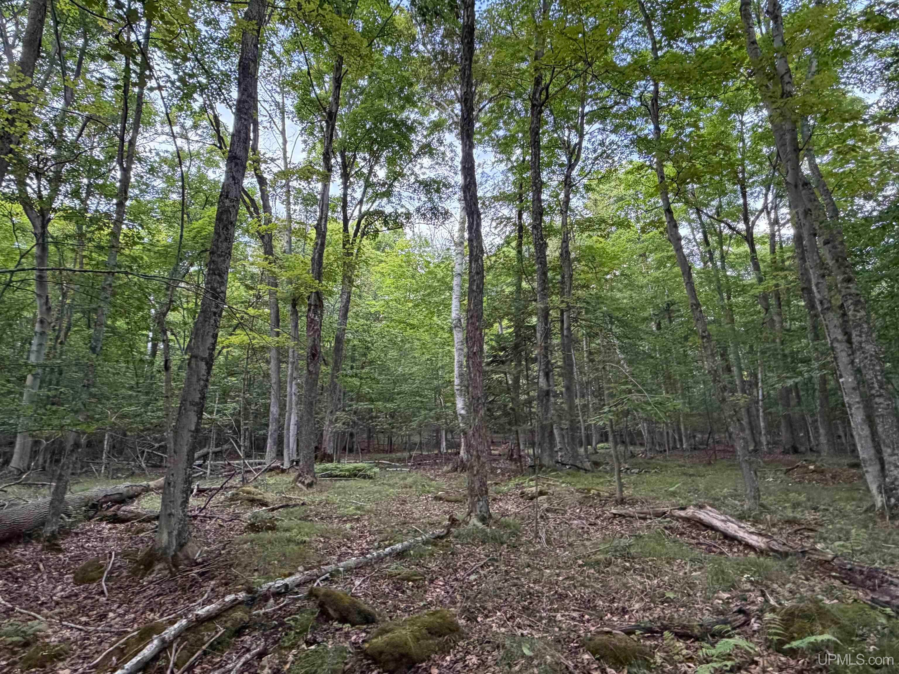 Tbd 9.5 Road Garden, MI 49835 - Photo 50 of 61 Gallery Image 50