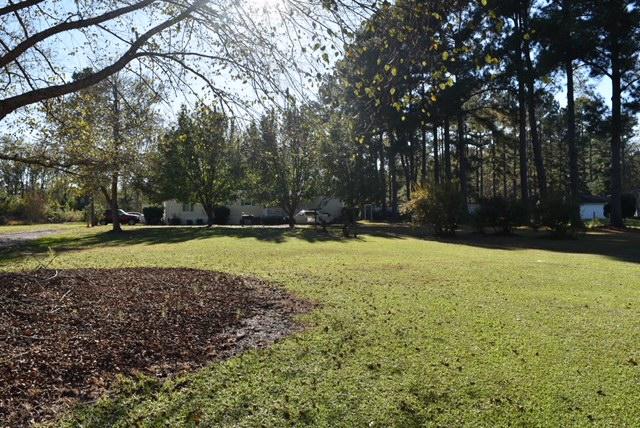 436 County Rd S-18-160 St. George, SC 29477 - Photo 2 of 4 IMG_5855