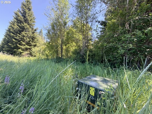 Snowden Road White Salmon, WA 98672 - Photo 22 of 26