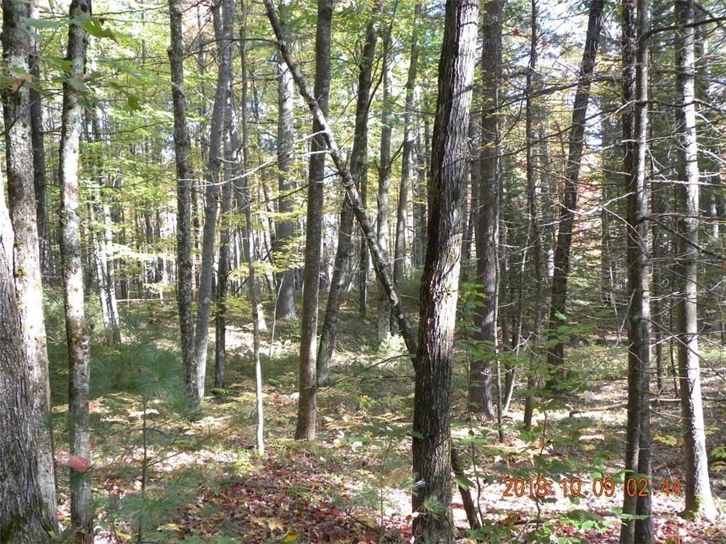 Tbd Tbd Gore Road Shapleigh, ME 04076 - Photo 10 of 12 Photo