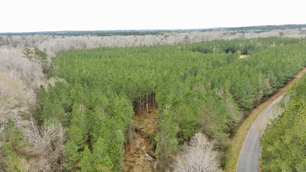 3 Anderson Road Wesson, MS 39191 - Photo 3 of 4 Photo 3